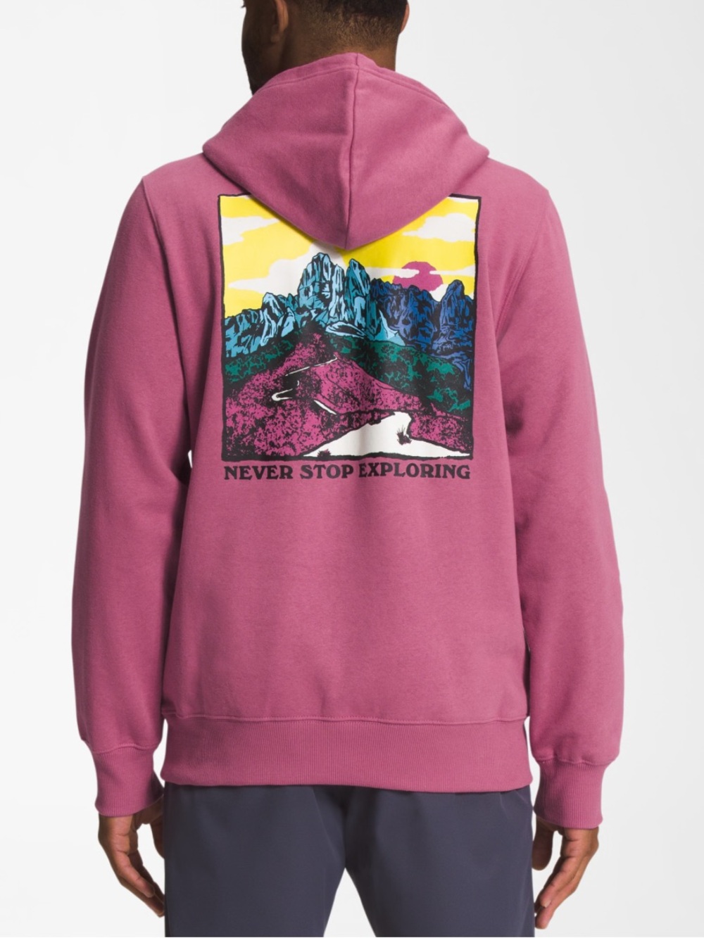 The North Face hoodie sweatshirt pink Graphic hoodie small
